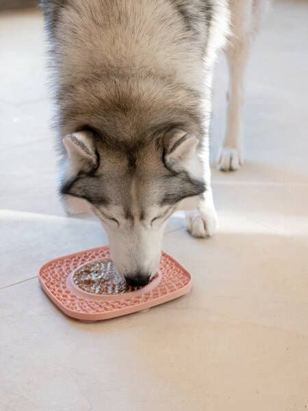 Dog Licking Pad - YoomY Plate - Pink