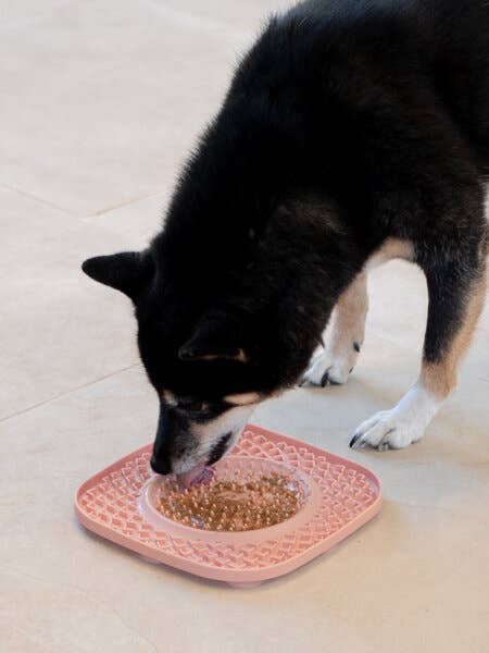 Dog Licking Pad - YoomY Plate - Grey